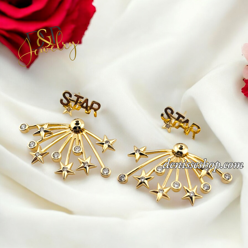 14K FASHION STAR EARRING E811