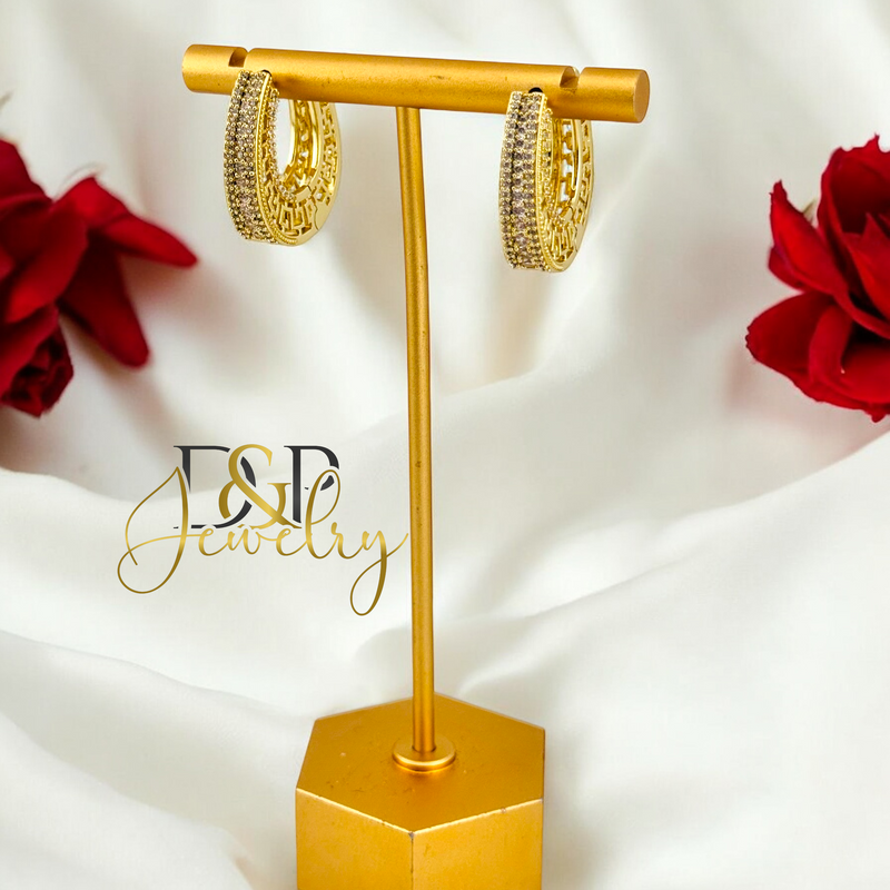 14K DESIGN HOOP EARRING HP666