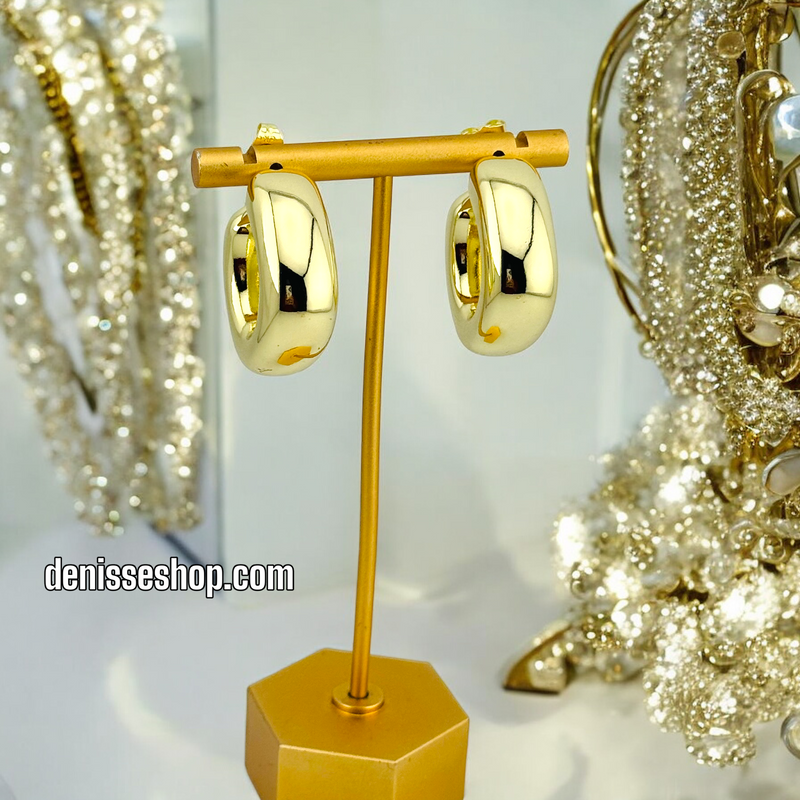 14K FASHION GOLD EARRING E598