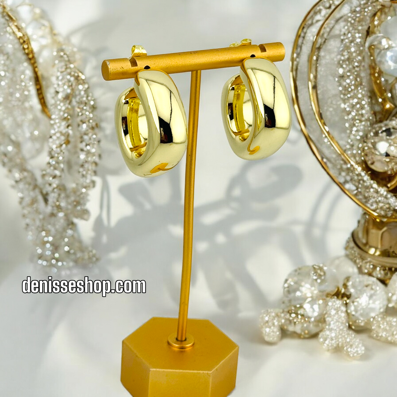 14K FASHION GOLD EARRING E598