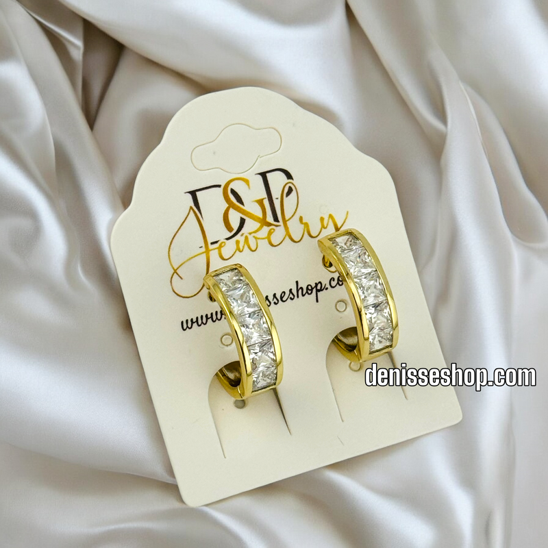 14K GOLD AND WHITE STONE HOOP EARRING HP481