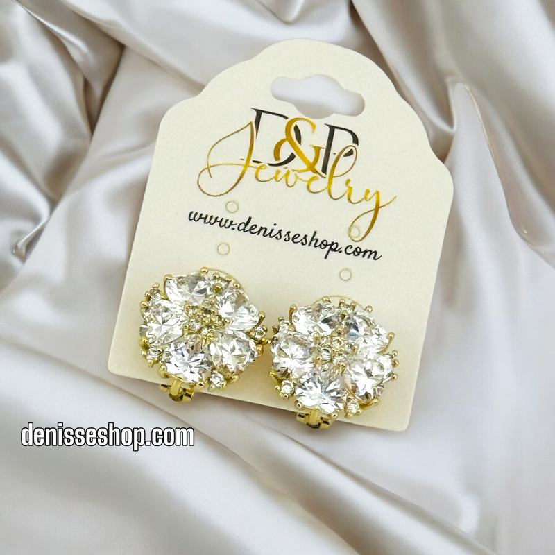 14K FASHION WHITE STONE EARRING E656