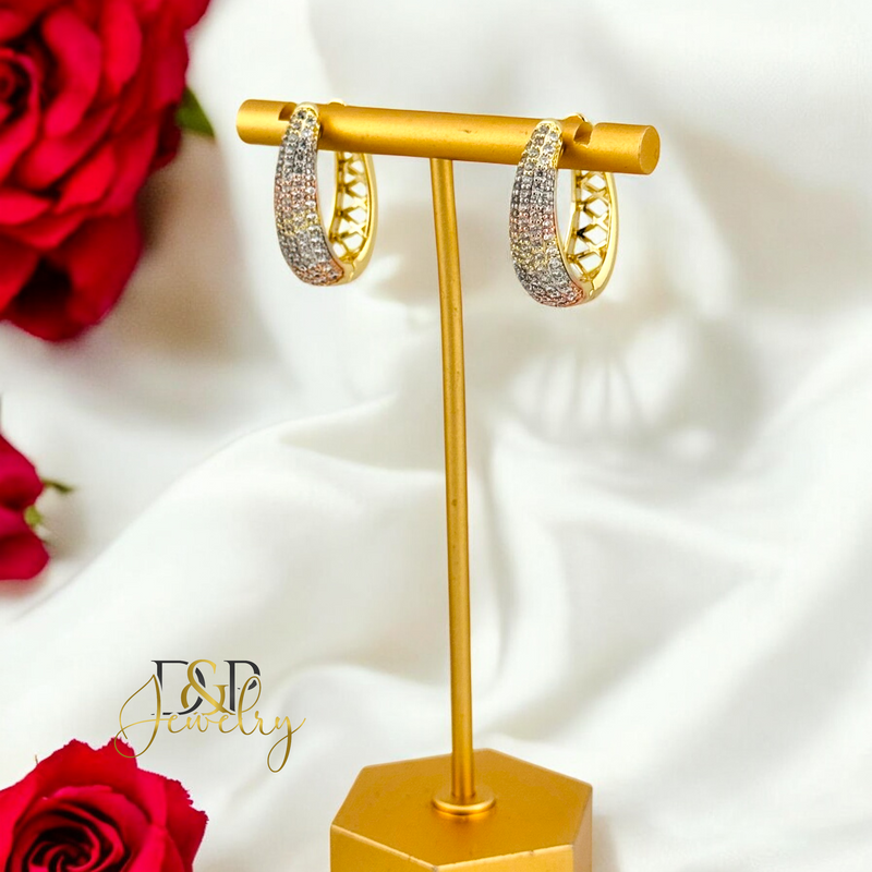 14K TRICOLOR ELEGANT HOOP HP696