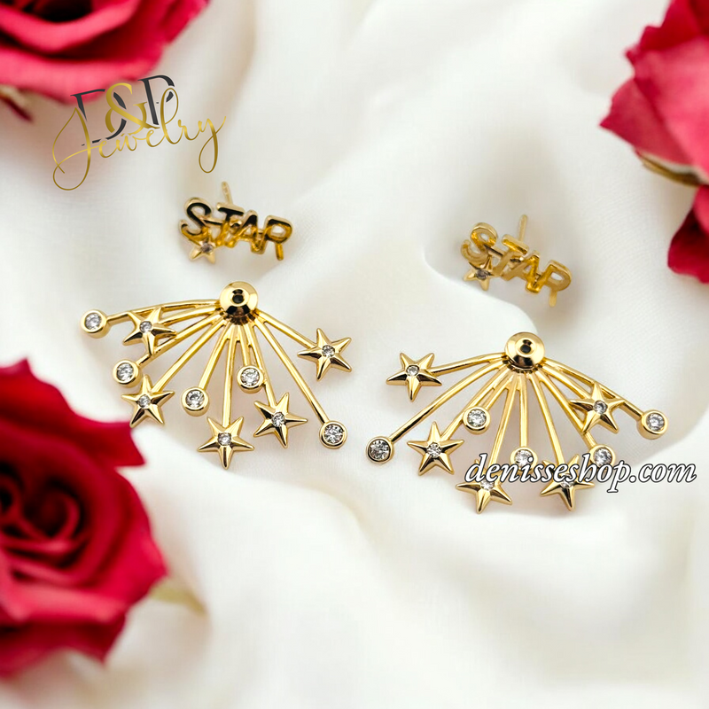 14K FASHION STAR EARRING E811